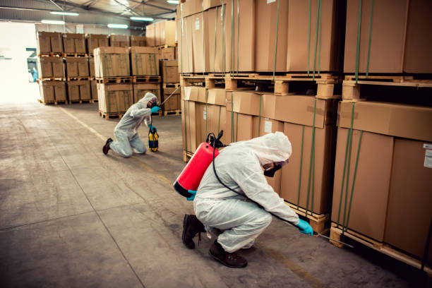 Best Rat Extermination Near Me  in Chino Hills, CA
