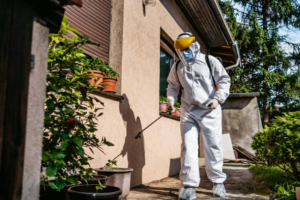 Best Rodent Control Near Me  in Chino Hills, CA