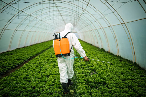 Best Emergency Pest Control  in Chino Hills, CA