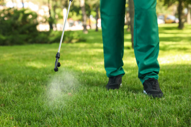 Insect Control in Chino Hills, CA